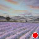 Allegro Moderato (lavender at dawn)