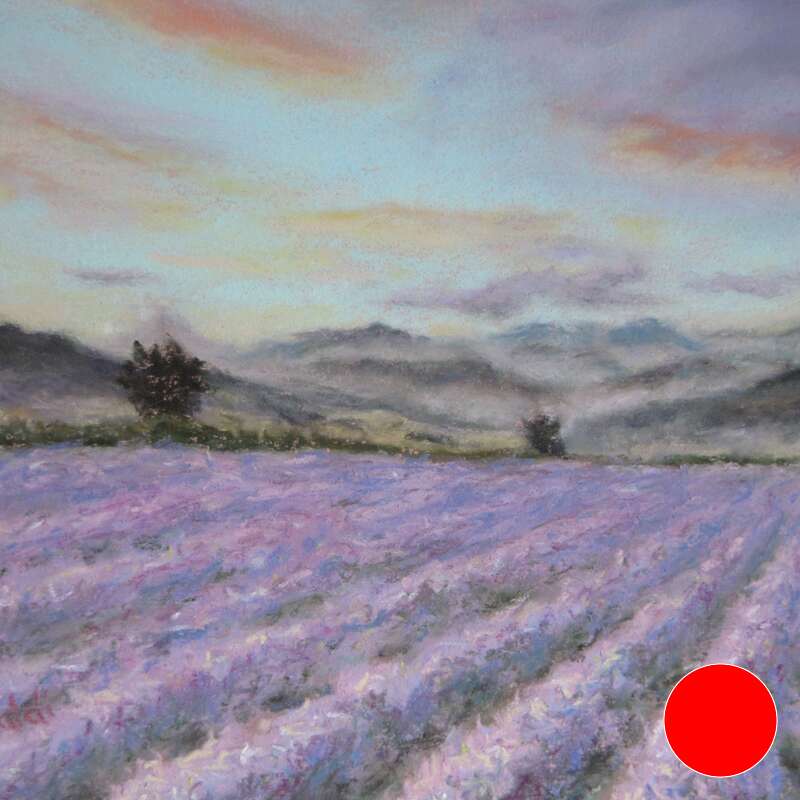 Allegro Moderato (lavender at dawn)