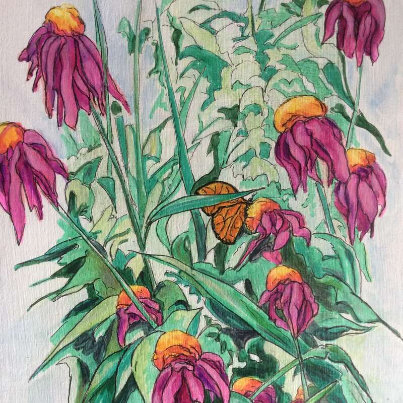 Butterfly and Cone flowers 
